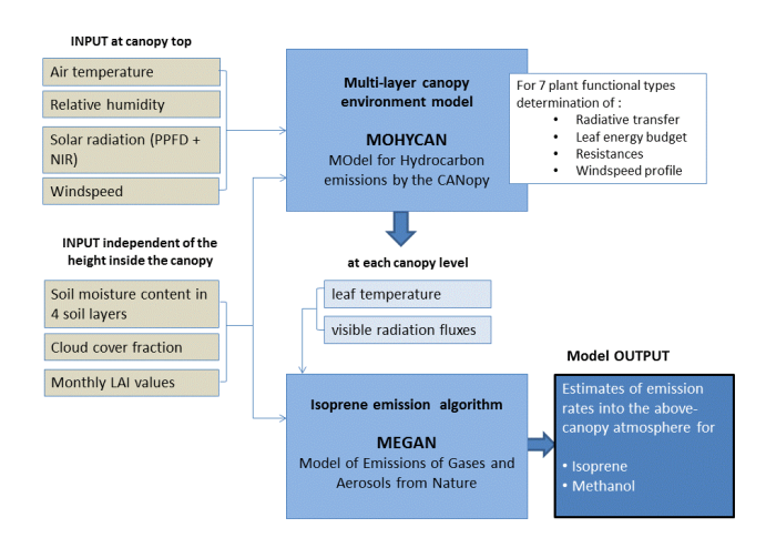 Schematical representation of the MEGAN-MOHYCAN model